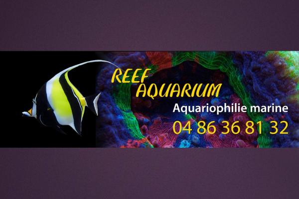 Reef Aquarium- aquariophile marine